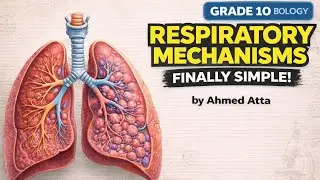 Grade 10 Biology |Unit 1 Lecture 4 |How Lungs Work? Structure & Breathing Mechanism