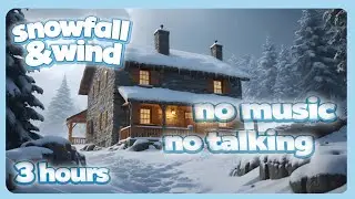 ❄️ Blizzard Sounds for Sleep, Snowfall & Wind (no music) | Sonidos de ventisca para dormir