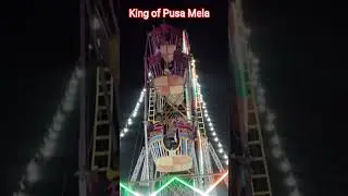 King of Pusa Mela