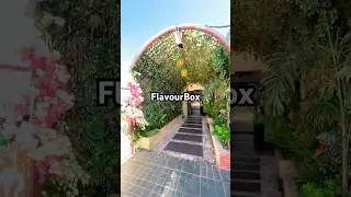 Aesthetic Cafes in Jammu You Must Visit | Cafe Lifestyle Vlog #jammukashmir #cafestyle #dessert