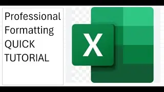 Professional Formatting in Microsoft Excel