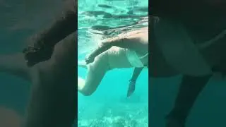 Snorkelen op Koh Tao Thailand