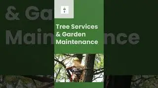 East Coast Gardens Short