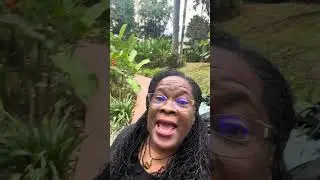 Change Your Money Mindset