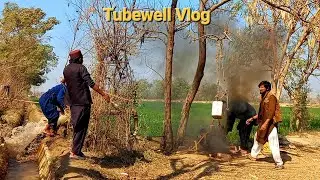 Agriculture In Pakistan l Watering the Fields | Tubewell Farming & Rural Life Routine #tubewell