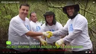 Esp&eacute;cies Amea&ccedil;adas | Conex&atilde;o