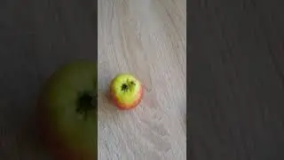 Snegl
