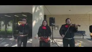 Mexican mariachi #musica #music #mexico #mariachi #hispanicculture #culturalheritage