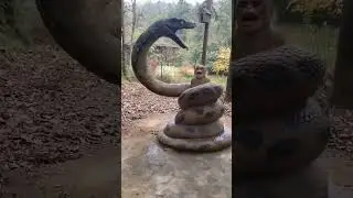 OMG ये तो नहीं बचेगा || Snake | Monkey | Hunting | Jharkhand Boy | #viral #shorts #viralvideo