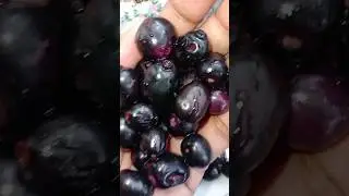 Naaval fruits🫐 pickle fruits🤤 #short #pickle