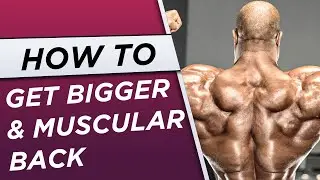Top 5 Exercises For Wider & Muscular Back l Raja Fitness