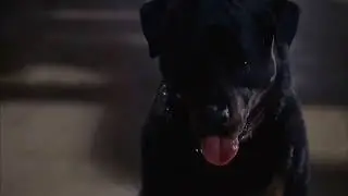 The Fly 2 (1989) - Dog scene