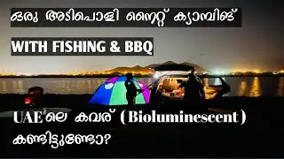 Best hidden camping place in uae|Night camping with fishing & BBQ|Dubai|Sharjah|Khorfakkan |4K
