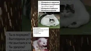 мем #meme #мем