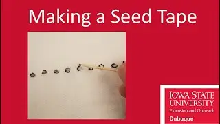 Making a Seed Tape