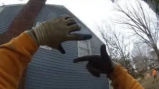 Behind the Scenes of A Tree Service: Felling, Spikes, Topping, Pruning, Hazardous Tree Removal- Pt 1