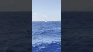 Ionian sea sailing ⛵. Сейлинг в Ионическом море, возле о.Кефалония.