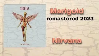 Nirvana - Marigold (Vietsub+Lyrics)