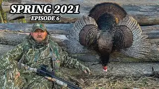 TEXT BOOK SOLO FILMED WEST VIRGINIA TURKEY HUNT!!