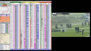 Brain Trading - Making over 200&pound; with 2&pound; stake in Horse Racing