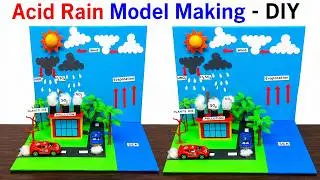 acid rain model making for science exhibition - diy - - simple and easy steps | DIY pandit