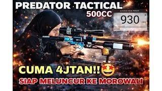 PERDANA PREDATOR TERBARU LANGSUNG DI BURU ‼️‼️ PCP BERKUALITAS FULL SORTIR SIAP JEDOR TANPA RIBET