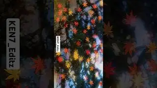 Aesthetic 🤤🤤#satisfying#animeedit #trending #viralvideo
