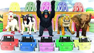 🐮🦍🐯 Colorful Animal Cars Race! Fun 3D Animals for Kids 🚗🌈 3d Animal Game Funny