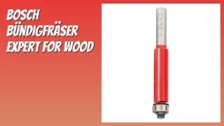 BEWERTUNG (2025): Bosch B&uuml;ndigfr&auml;ser Expert for Wood. Infos