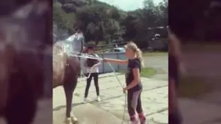 Jezdectv&iacute;