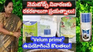 నెమటోడ్స్ పై బ్రహ్మాస్త్రం 