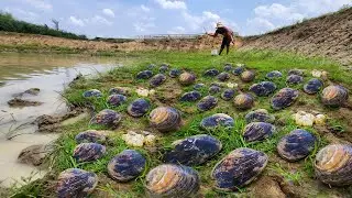 Top Videos, I didn't have any food, so I dig clams when the water receded during the dry season.