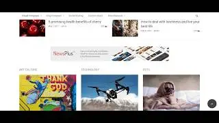 WP Post Modules for NewsPaper and Magazine Layouts
