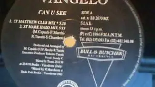 VANGELO - Can You See (ST Mark Hard Mix)