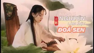 来生愿做一朵莲 | Kiếp Sau Nguyện Làm Một Đóa Sen guzheng | Tiểu Di ver.