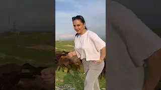 Luiza Rasulova 💥 Kim ko'rdi? Bu o'sha Qiz, Akam bulasiz, Baxodir brat, Хаммага омад #shorts
