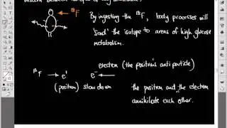 September23 Half Life, Decay and Positron Emission Tomography