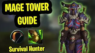 Survival Hunter Mage Tower Guide | DPS Mage Tower Guide Dragonflight | Closing the Eye