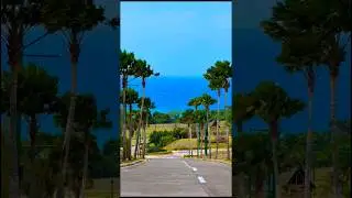new Coast this is life #subscribe #nature #travel #trending #viral #youtubeshorts #fyp #shorts