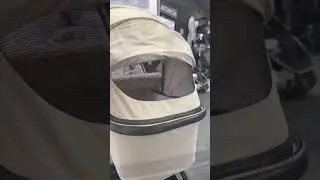 Коляска 2 в 1 Labala Raiz