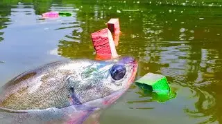 Hook Fishing || Boy Catching Many Catfish And Spotted Snakehead Fish By Using Hook