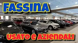Fassina : auto usate e aziendali