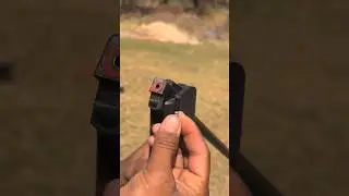 airgun shooting #trending #airgunhunting #shorts #youtubeshorts
