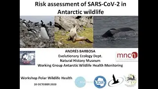 Polar Wildlife Health Online Webinar, 20th October 2020