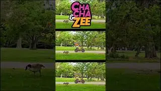 Dodging DINOSAURS in City Park Denver Colorado || Adventures with Dinosaurs in Denver City Park