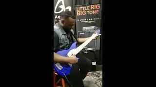 Aquilina Basses - Joey Green I NAMM 2018