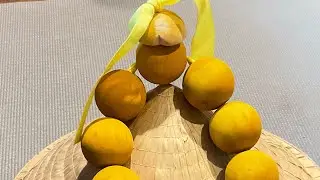 Gi&aacute;c ngộ #theo bước ch&acirc;n#2024#mienphi