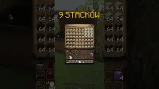 IP: JBWM.PL Wersja: 1.17.1 - 1.20.1 SkyMMO