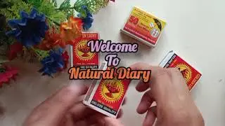 || Jacob's Ladder Toy Making Video || Reuse Match Box || Art And Craft ||