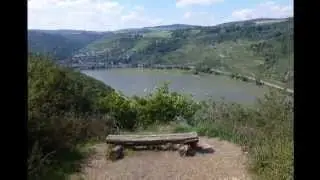 Der Rheinsteig